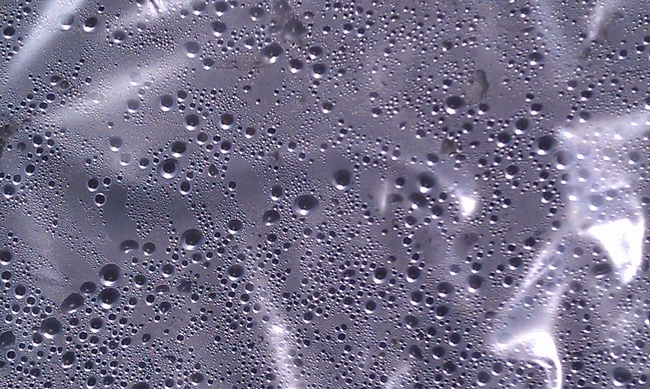 Condensation under the plastic, J. Alosi