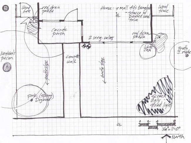 Base map for planting design, Eve Werner