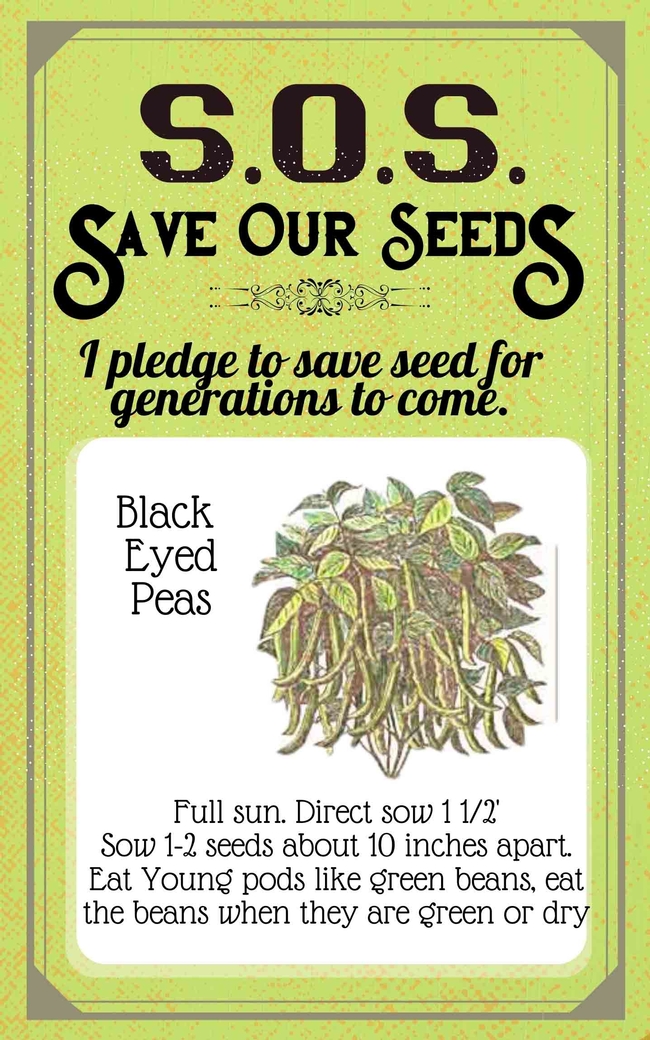 Save Our Seeds Summer 2020 Seed Packet Black-Eyed Peas