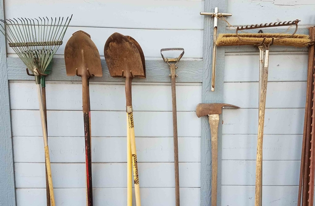Garden tools carefully stored, J. Alosi