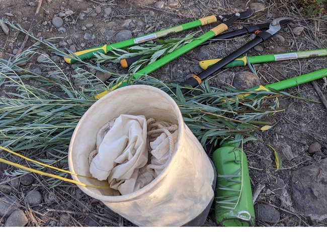 Wildtending tools include collecting bags, loppers, and water, Janeva Sorenson