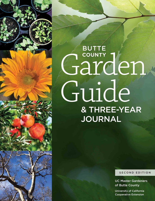 Garden Guide cover, Laura Kling