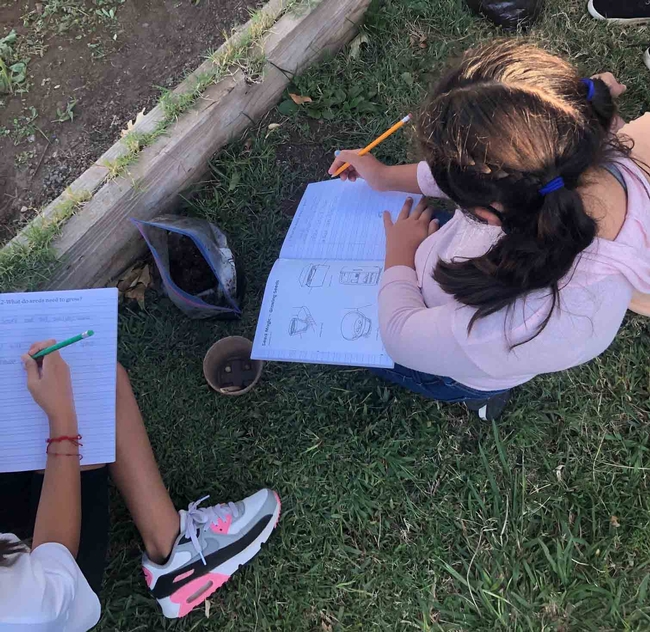 Kids sketching seeds growing - Little Chico Creek Elementary, Karina Hathorn