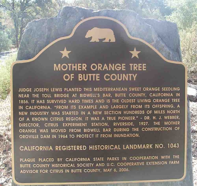 Mother Orange Historial Marker, Cindy Weiner