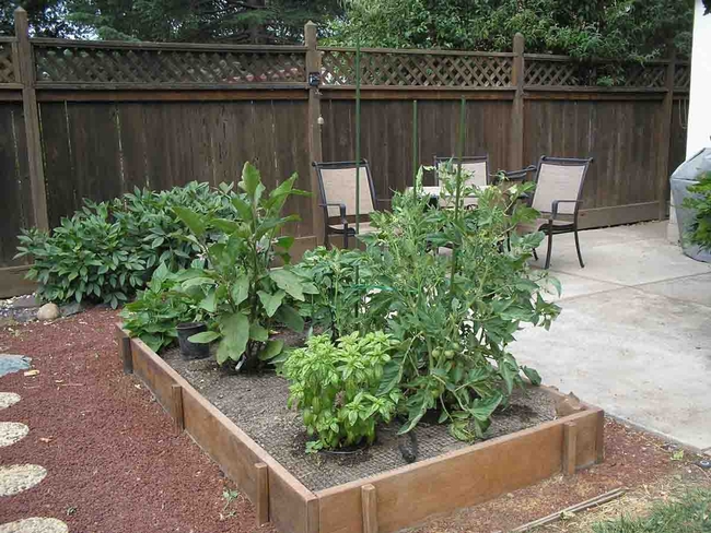 Even a small raised bed vegetable garden like this can count for the 1,000 Acres More Project, Laura Lukes