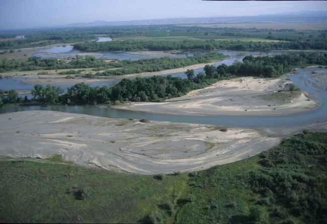 Sacramento River system, The Nature Conservancy