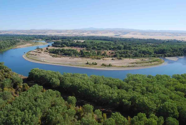 Sacramento River Tehama County, The Nature Conservancy