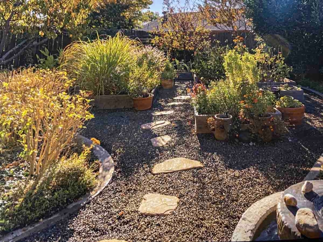 A Chico garden that includes raised beds and container plantings. The new Master Gardener Workshop Series offers workshops on both raised bed and container gardening. Jan Burnham
