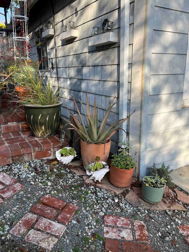 Plants in containers highlight entry to house. Debi Durham