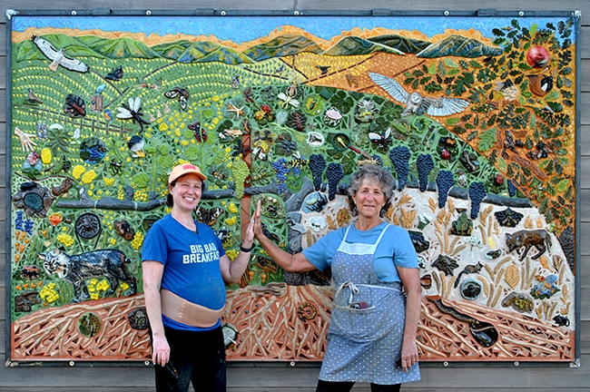 UC Davis distinguished professor Diane Ullman (right) and assistant professor Emily Meineke, both entomologists and artists, taught the UC Davis entomology class that resulted in the mural at the Matthiasson Winery. (Photo by Gale Okumura)