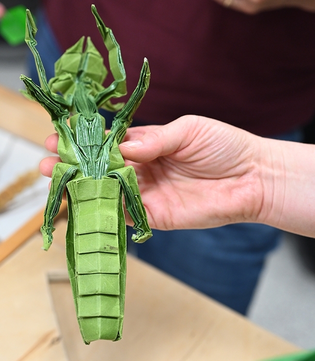 A close-up of the intricate origami praying mantis, the work of UC Davis alumnus Kevin Murakoshi. (Photo by Kathy Keatley Garvey)