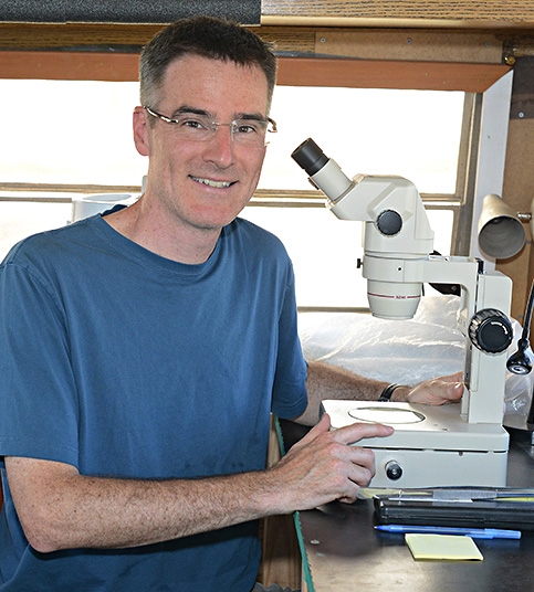 Professor Neal Williams is featured on a Science Friday podcast. (Photo by Kathy Keatley Garvey)