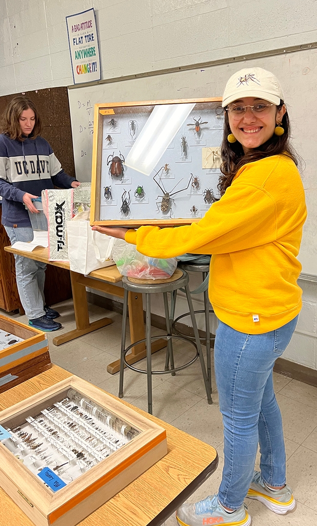 CC Edwards, STEM Squad activity leader, with a Bohart Museum of Entomology collection.