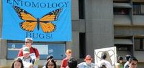 Briggs Hall, home of the UC Davis Department of Entomology and Nematology, will showcase insects, nematodes and spiders--and more--during the 110th UC Davis Picnic Day, set Saturday, April 20. (Photo by Kathy Keatley Garvey) for Entomology & Nematology News Blog