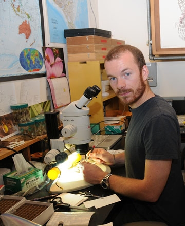 Doctoral candidate Michael Branstetter in his lab. He won a coveted President's Prize at the ESA's 56th annual meeting. (Photo by Kathy Keatley Garvey