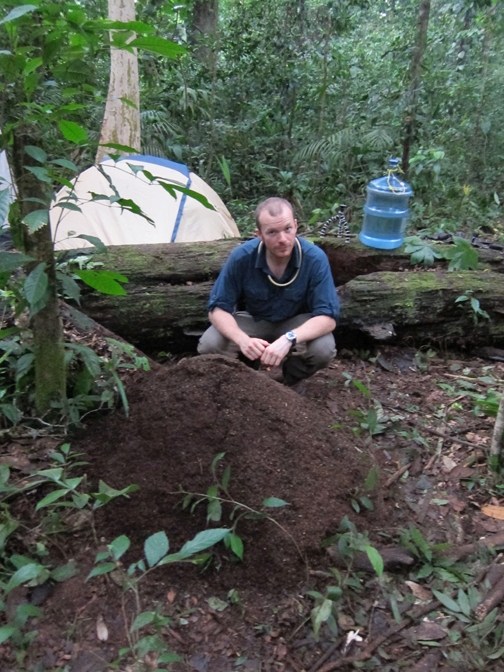 Michael Branstetter with a pile of leaf litter at the Parque Nacional Cerro Saslaya, Nicaragua. (Photos by Laura Sáenz)