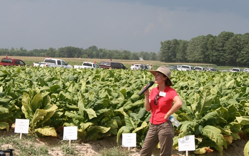 hannahburrackintobaccofield