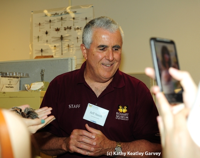 Entomologist Jeff Smith, an associate at the Bohart Museum of Entomology. (Photo by Kathy Keatley Garvey)