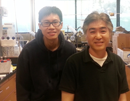 Sing Lee (left), postdoctoral fellow, and Sung Hee Hwang, assistant project scientist, of the Hammock lab.