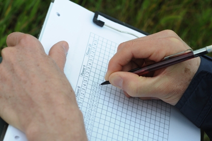 Compiling data for research project. (Photo by Kathy Keatley Garvey)