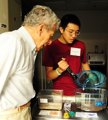 Alexander Nguyen flashes a black light on a scorpion as UC Davis  professor Demosthenes Pappagianis watches. (Photo by Kathy Keatley Garvey)