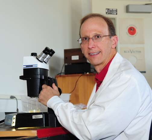 Steve Nadler at his microscope in his Hutchison Hall lab. (Photo by Kathy Keatley Garvey)