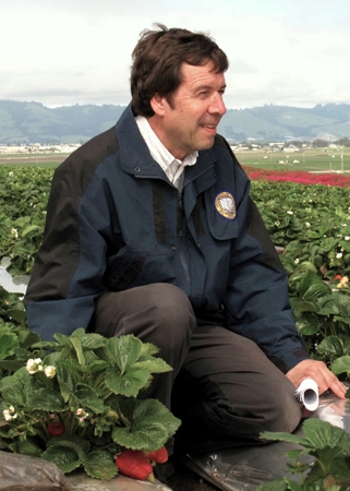 Frank Zalom in strawberry field.
