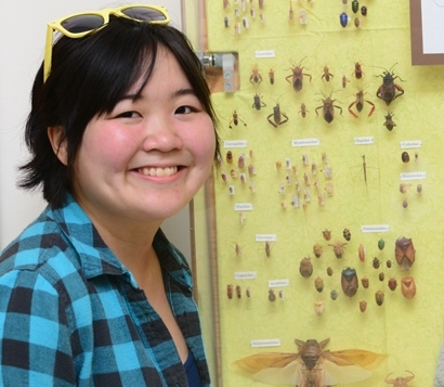 Ivana Li with entomology display in Briggs Hall. (Photo by Kathy Keatley Garvey)