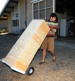 Staff research associate/manager Billy Synk, of the Laidlaw facility, wheels bee boxes into the Laidlaw facility. (Photo by Kathy Keatley Garvey)