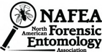 NAFEA logo