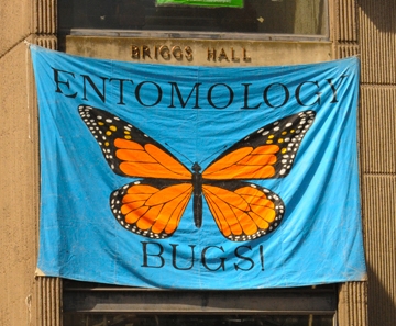 Briggs Hall