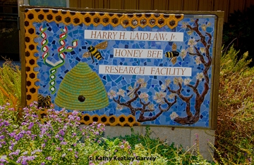 This is the sign that Donna Billick created in front of the Harry H. Laidlaw Jr. Honey Bee Research Facility. (Photo by Kathy Keatley Garvey
