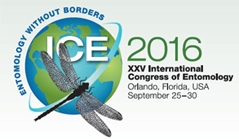 ice logo