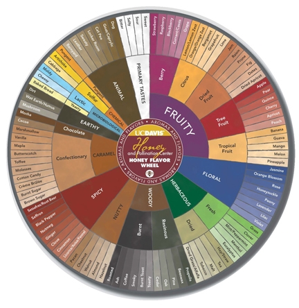 The Honey Flavor Wheel (Copyright, UC Davis Honey and Pollination Center)