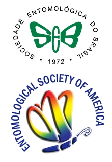 Brazilian and ESA logos