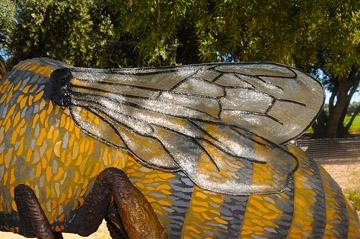 Translucent bee wings, made of fiberglass