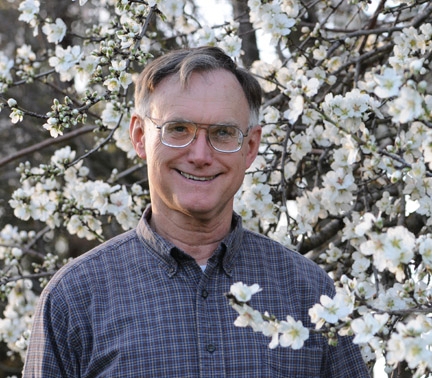 Eric Mussen, shown here amid the almond blossoms at the Harry H. Laidlaw Jr. Honey Bee Research Facility, is the winner of the statewide Pedro Ilic Ag Educator Award. (Photos by Kathy Keatley Garvey)