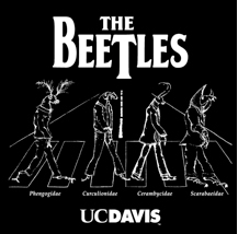 The Beetles is a popular EGSA shirt.