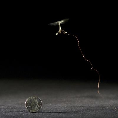 Tiny robotic insect in flight. (Photo courtesy of Harvard University)