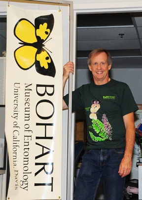 Bohart senior museum scientist Steve Heydon. (Photo by Kathy Keatley Garvey)