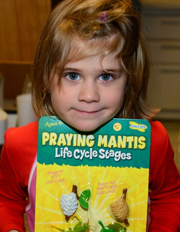 Natalie Seybold of Davis asked her parents to buy her this educational gift at the Bohart Museum of Entomology.