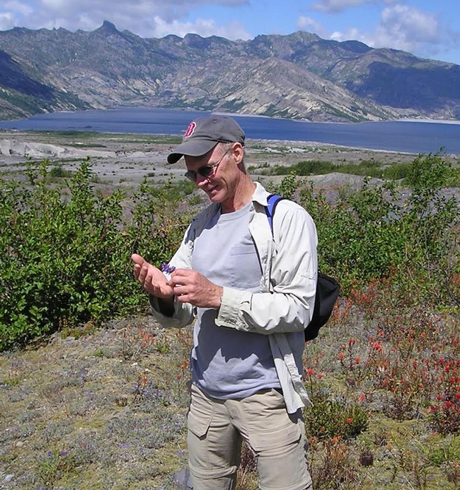 Professor George Kennedy hiking on Mt. St. Helens, Washington and checking out the thrips population on native plants. 