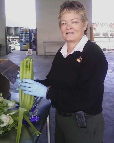 Cheryle O'Donnell inspecting  celery in Colorado.
