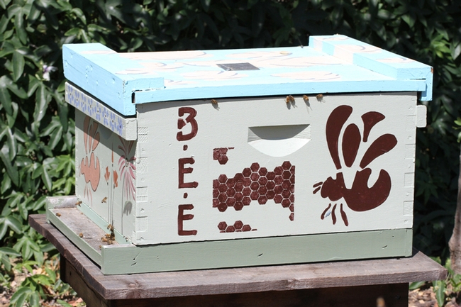 The haven includes a viable bee hive. (Photo by Kathy Keatley Garvey)