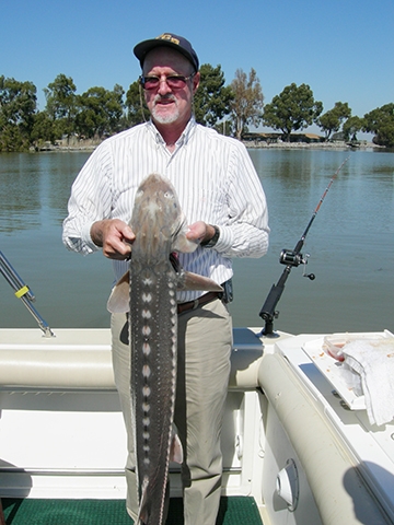 Emeritus professor Les Ehler with a sturgeon caught in 2007. (Photo courtesy of Larry Godfrey)