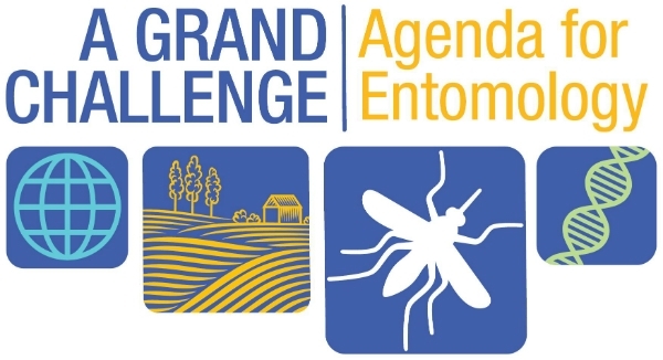 Grand challenges