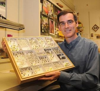 Neal Williams, assistant professor, UC Davis Department of Entomology, holds a native pollinator collection. (Photo by Kathy Keatley Garvey)
