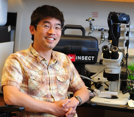 Ecologist Louie Yang, associate professor, UC Davis Department of Entomology and Nematology, has been named a recipient of the 2017 Eleanor and Harry Walker Academic Advising Award from the College of Agricultural and Environmental Sciences. (Photo by Kathy Keatley Garvey)