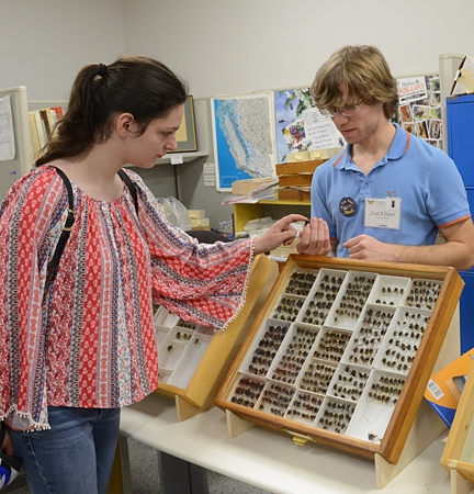 Doctoral candidate Ziad Khouri shows Bohart Museum insect specimens at the 2016 UC Davis Picnic Day to attendee Andrea Gudino of Davis. (Photo by Kathy Keatley Garvey)