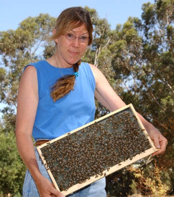 Bee breeder-geneticist Susan Cobey holding frame (Photo by Kathy Keatley Garvey)